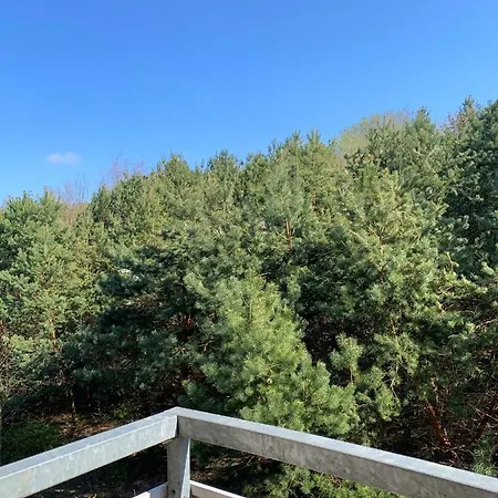 Baltic Olive Homestay